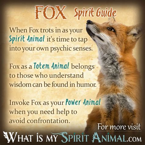 Fox Symbolism & Meaning | Spirit, Totem & Power Animal