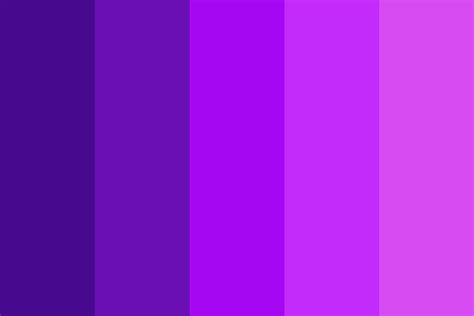 Analogous Purple Color Palette