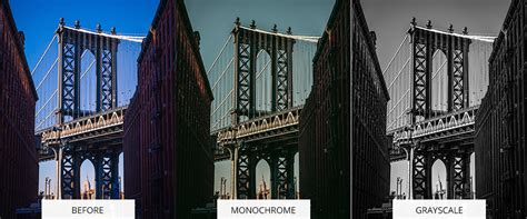 Black And White Color Picture Editing : Monochrome Vs Grayscale ...