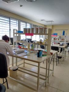 Fisiología y Biología Molecular - Instituto Multidisciplinario de ...