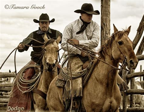 Image detail for -Working-Cowboys-Photo E4C3504 | Rodeo cowboys, Cowboy pictures, Cowboy horse