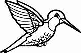Hummingbird Coloring Pages Printable At GetColoringscom  Free sketch template