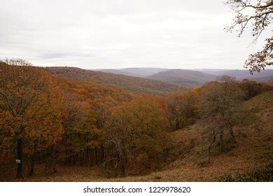 Overlook Along Boston Mountains Scenic Loop Stock Photo 1229978620 ...