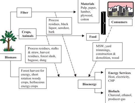 Biomass and bioenergy flow chart [26]. | Download Scientific Diagram