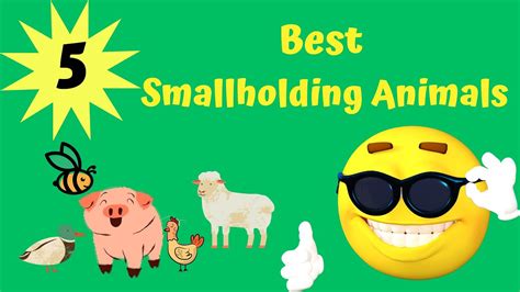 5 best smallholding Animals - YouTube