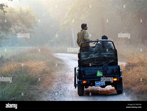 The image of Tourist in Safari was taken in Pench national park, India ...