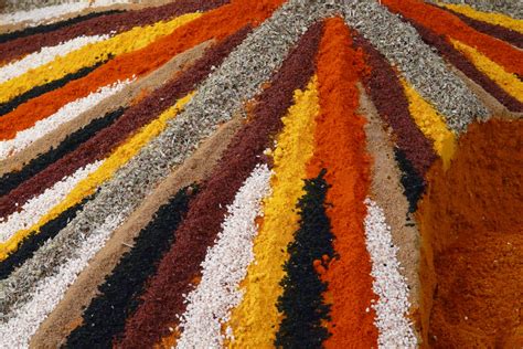 Free Images : orange, yellow, carpet, brown, line, flooring, pattern, plant, floor, beige ...