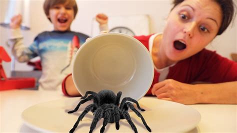 Spider Prank - YouTube