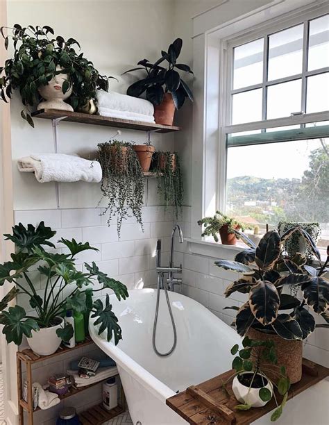 17 Bathroom Plants That Were Styled Perfectly