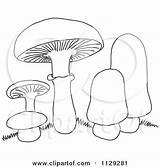 Fungi Drawing Clipartmag Fungus Coloring Sketch Page sketch template