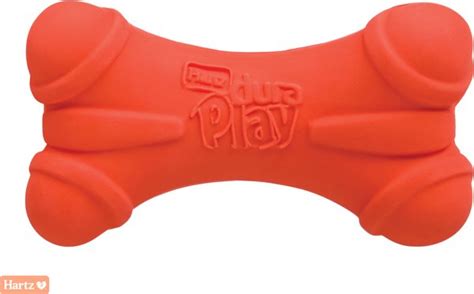 HARTZ Dura Play Bone Squeaky Latex Dog Toy, Color Varies, Small - Chewy.com