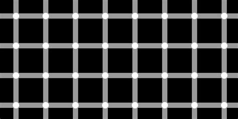 This Optical Illusion Has 12 Dots But You Can't See Them At Once | Inverse