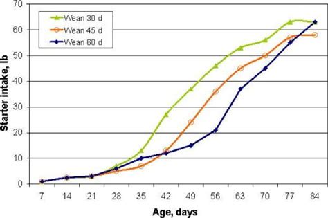 Early Weaning Strategies – DAIReXNET