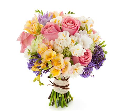 Images bouquet Roses flower Freesia Daffodils White background