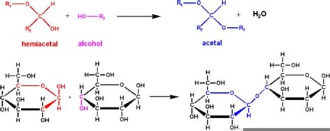Hemiacetal Vs Hemiketal | Free Images at Clker.com - vector clip art online, royalty free ...