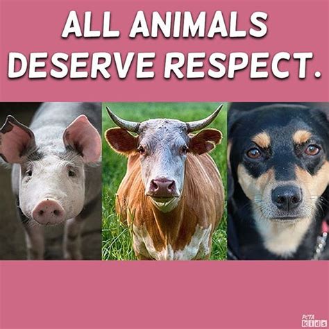 5 Examples of Speciesism—and How You Can Help Stop It! | PETA Kids