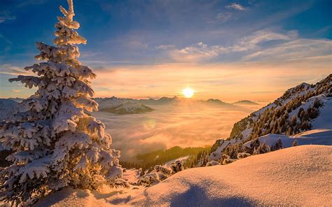 HD wallpaper: nature, Sun, winter, pine trees, snow, mountains, mist, sunrise | Wallpaper Flare