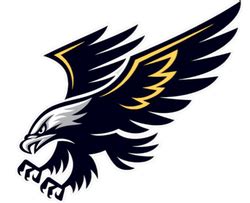 Nighthawk Logos