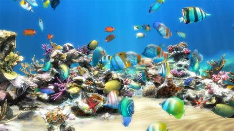 Dream aquarium screensaver 1.24 free full version download : aprijer