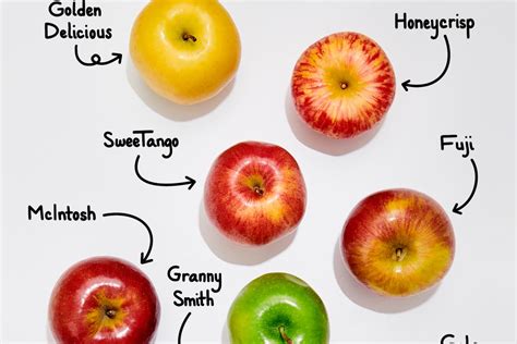 The 16 Best Apples for Snacking (Fuji, Gala & More) | The Kitchn