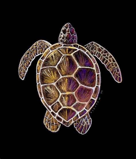 Honu by Kirsten Carlson