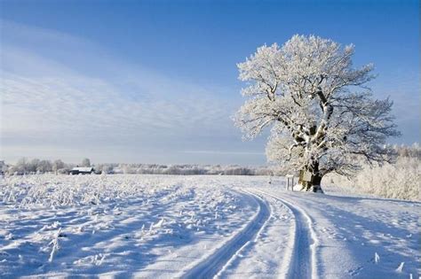 Winter in Estonia | Estonia, Winter travel, Winter wonder