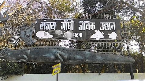 Inside Sanjay Gandhi Jaivik Udyan ( Patna Zoo), Patna, Bihar : A Paradise In Chaos - YouTube