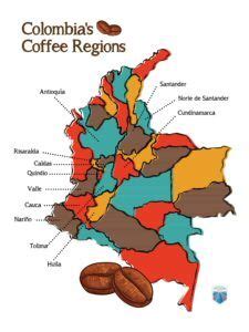 An Exploration of Colombia's Unique Coffee Culture