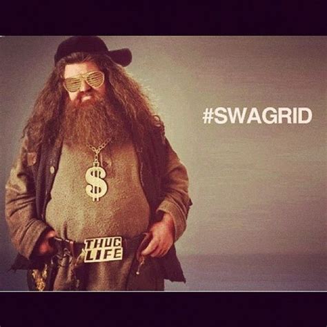 "Yer a gangsta, Harry..." So this is stupid but I think it's hilarious. Harry Potter Hagrid ...