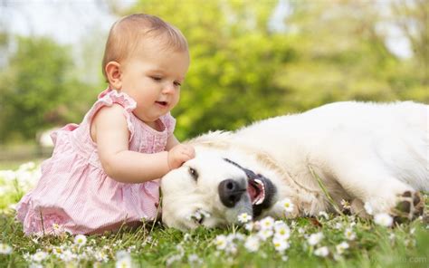 Cute Baby Girl Playing With Dog