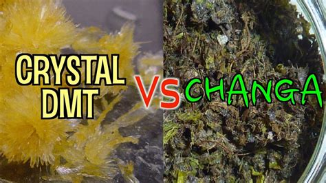 Freebase DMT Vs CHANGA - YouTube