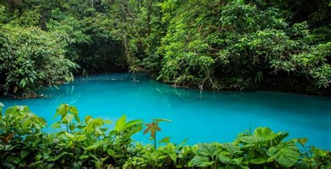 The Rainforest Trail in Costa Rica & The Revolution Path in Nicaragua ...