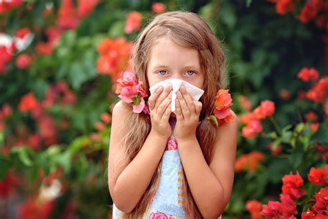 Dangerous Plants for People Prone to Allergy