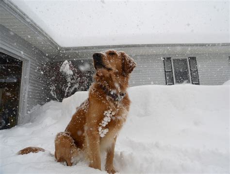 Farmer's Almanac Says If New England Will Have Snow on Christmas