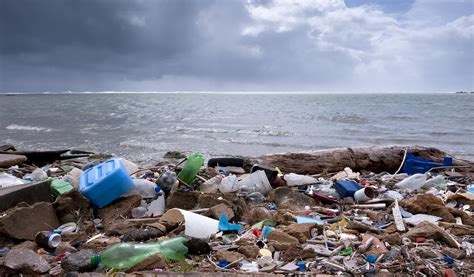 Plastic Pollution