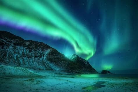 Premium Photo | Aurora borealis above frozen beach in lofoten islands ...