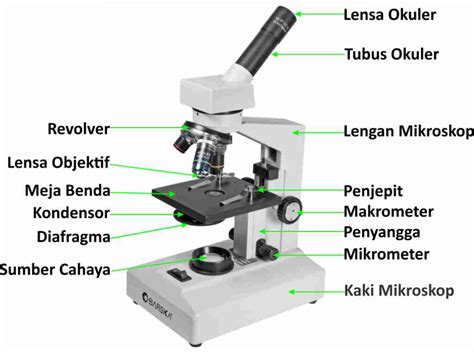 Bagian Bagian Mikroskop Dan Fungsinya Mikroskop Ilmu Pengetahuan | My ...