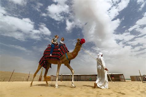 How The Camel Farm in Al Lisaili has become an oasis of fun in the ...