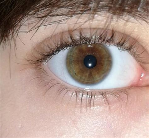 Slightly green? Hazel? Brown? Muddy? What is this? : eyes