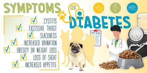 How Is Dog Diabetes Diagnosed