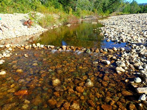 How Human-Made Rock Dams Can Impact Native Fish Populations | MidCurrent