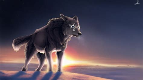 Magical wolf at sunset wallpaper - Fantasy wallpapers - #52093