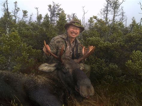 ARLUK OUTFITTERS - Newfoundland, Canada | 1 Moose and 1 Black Bear