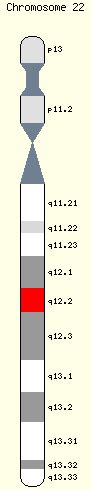 Locus (genetics) - wikidoc