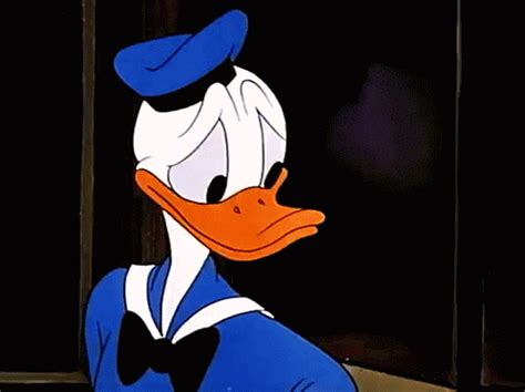 Donald Duck Disney Happy Birthday Lol Laughing GIF | GIFDB.com