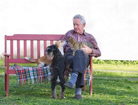 Old man with pets stock image. Image of caucasian, grandparent - 35410505