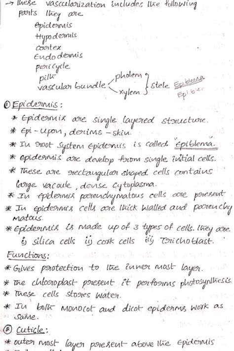 Root system: Bsc botany, Plant anatomy Handwritten Notes – Shop ...