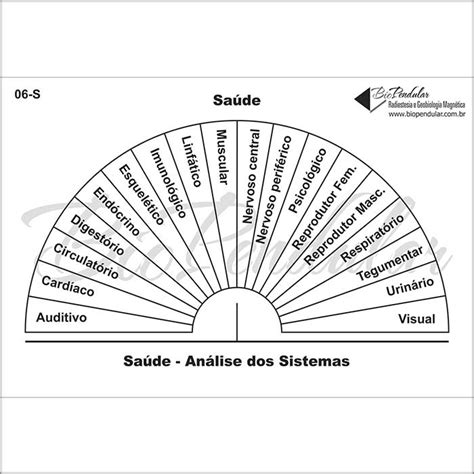 Saúde - Análise dos Sistemas - Biopendular