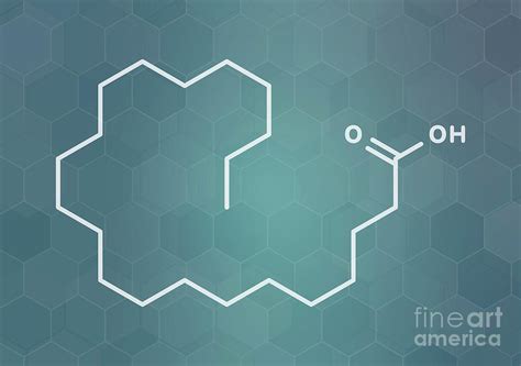 Behenic Acid Saturated Fatty Acid Molecule Photograph by Molekuul/science Photo Library - Fine ...