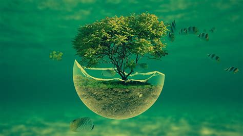 1366x768px, 720P free download | Earth, manipulation, ecosystem, fishes ...